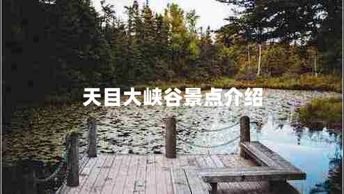 天目大峽谷景點(diǎn)介紹