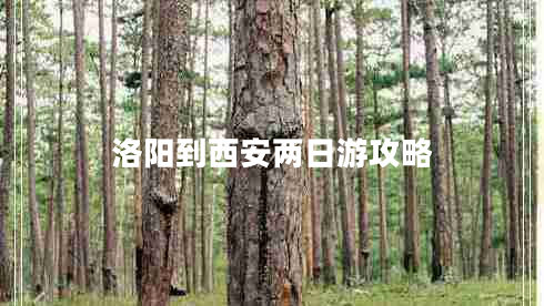 洛陽(yáng)到西安兩日游攻略