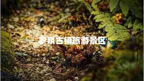 羅泉古鎮旅游景區