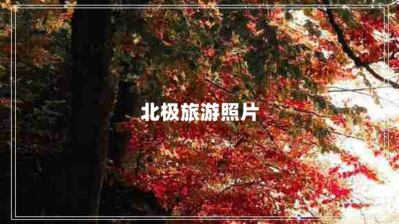 北極旅游照片
