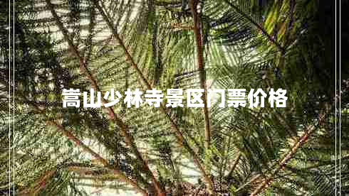 嵩山少林寺景區(qū)門票價格 嵩山少林寺景區(qū)門票價格