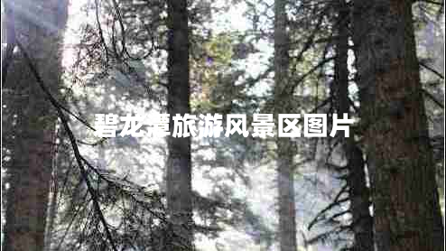 碧龍潭旅游風(fēng)景區圖片