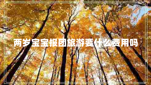 兩歲寶寶報團旅游要什么費用嗎