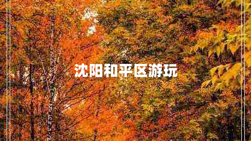 沈陽(yáng)和平區游玩