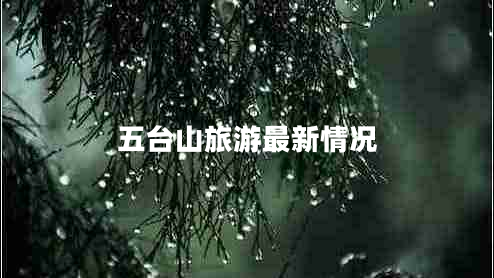 五臺(tái)山旅游最新情況 五臺(tái)山旅游最新情況