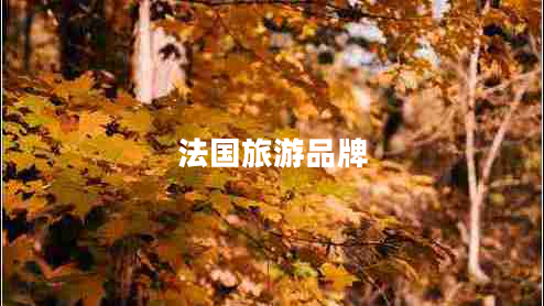 法國旅游品牌