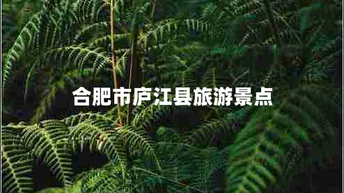 合肥市廬江縣旅游景點(diǎn)