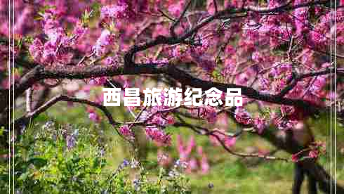西昌旅游紀念品