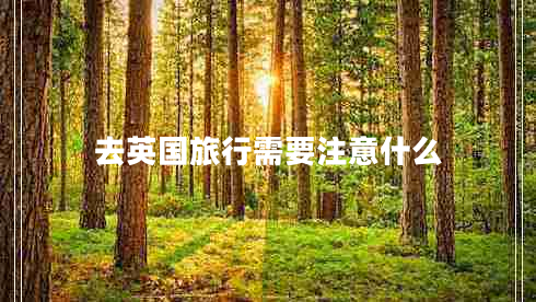 去英國旅行需要注意什么 去英國旅行需要注意什么