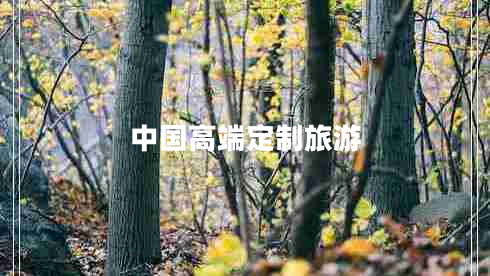 中國(guó)高端定制旅游