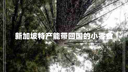 新加坡特產能帶回國的小零食 新加坡特產能帶回國的小零食