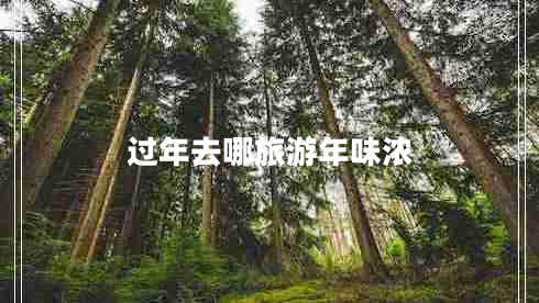 過(guò)年去哪旅游年味濃