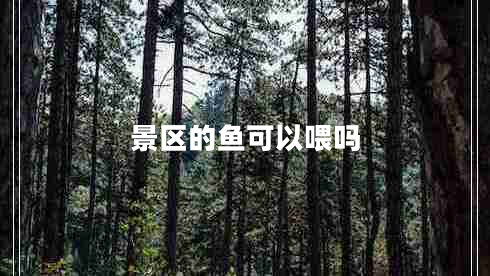 景區的魚(yú)可以喂嗎