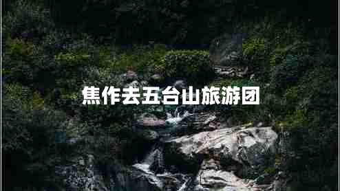 焦作去五臺山旅游團(tuán)