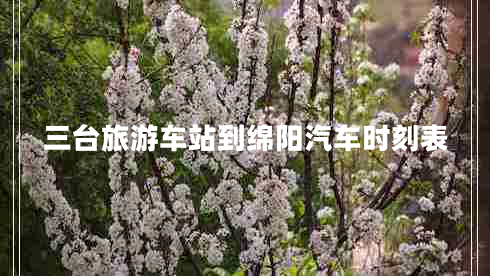 三臺(tái)旅游車站到綿陽汽車時(shí)刻表