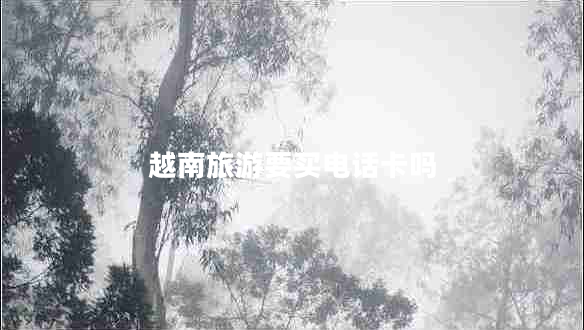 越南旅游要買(mǎi)電話(huà)卡嗎