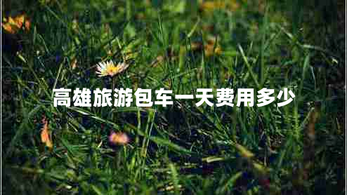 高雄旅游包車(chē)一天費用多少