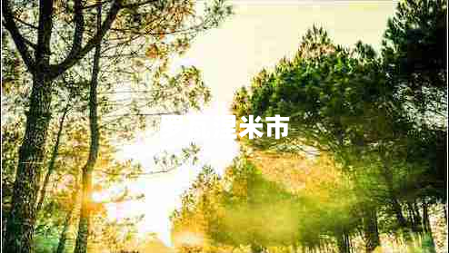 羅瓦涅米市