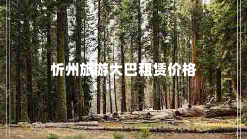忻州旅游大巴租賃價(jià)格