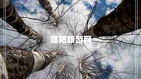 濮陽旅游網(wǎng)