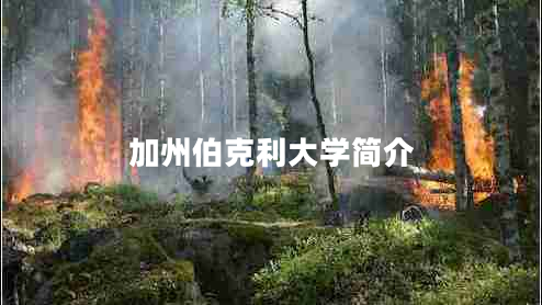 加州伯克利大學(xué)簡介 加州伯克利大學(xué)簡介