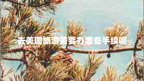 去美國旅游需要辦哪些手續呢