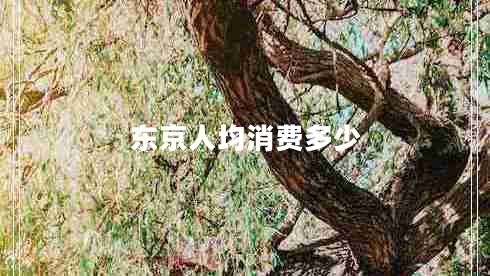 東京人均消費多少