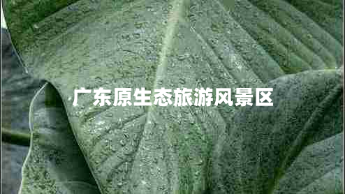 廣東原生態(tài)旅游風(fēng)景區