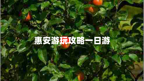 惠安游玩攻略一日游 惠安游玩攻略一日游