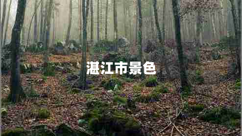湛江市景色