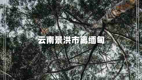 云南景洪市離緬甸