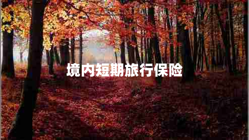 境內(nèi)短期旅行保險(xiǎn) 境內(nèi)短期旅行保險(xiǎn)