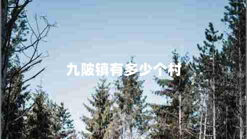 九陂鎮(zhèn)有多少個村