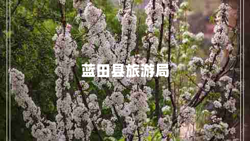 藍田縣旅游局