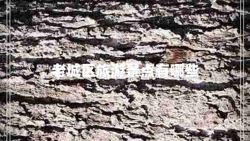 老城區(qū)旅游景點有哪些 老城區(qū)旅游景點有哪些