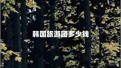 韓國旅游團多少錢(qián)