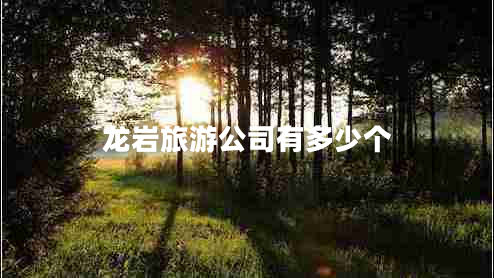 龍巖旅游公司有多少個(gè)