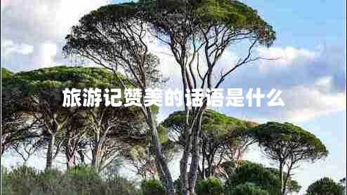 旅游記贊美的話(huà)語(yǔ)是什么