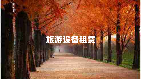 旅游設備租賃 旅游設備租賃