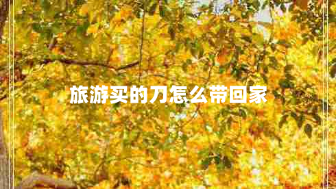 旅游買(mǎi)的刀怎么帶回家