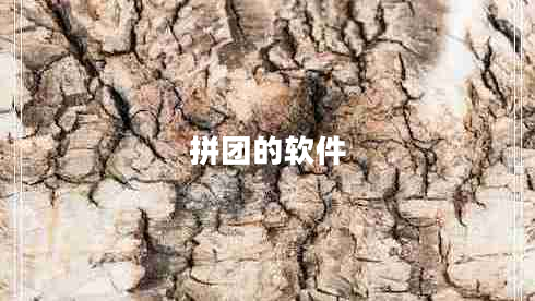 拼團(tuán)的軟件 拼團(tuán)的軟件