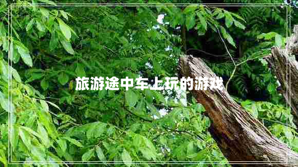 旅游途中車(chē)上玩的游戲