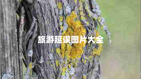 旅游延誤圖片大全