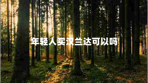 年輕人買(mǎi)漢蘭達可以嗎