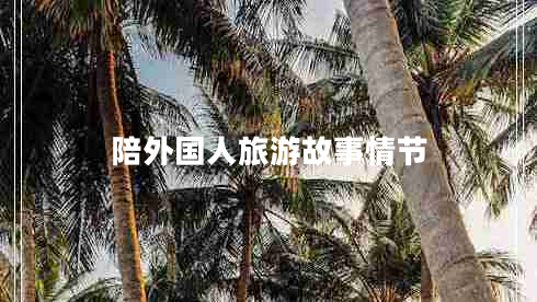 陪外國人旅游故事情節