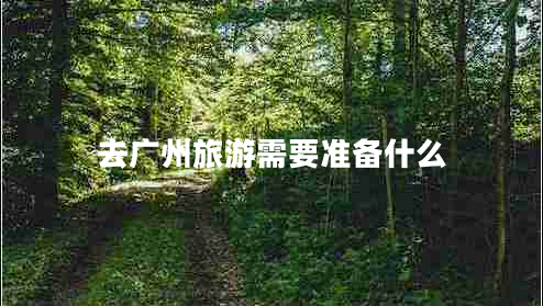 去廣州旅游需要準備什么