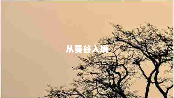 從曼谷入境