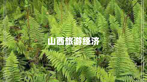 山西旅游經(jīng)濟(jì)