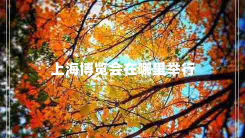 上海博覽會(huì )在哪里舉行