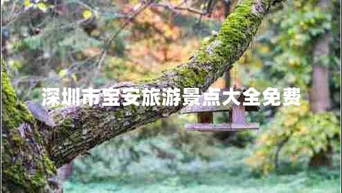 深圳市寶安旅游景點(diǎn)大全免費
